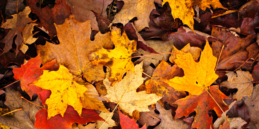 fall