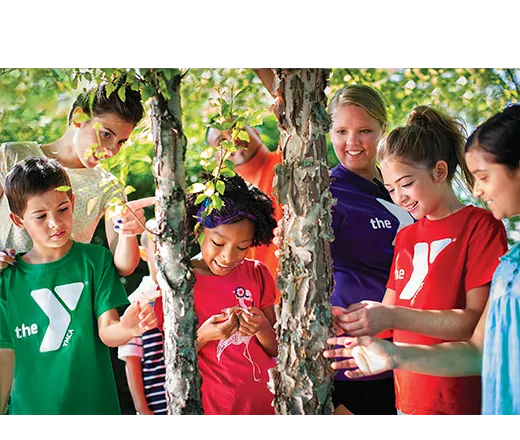 Kids looking at a tree
