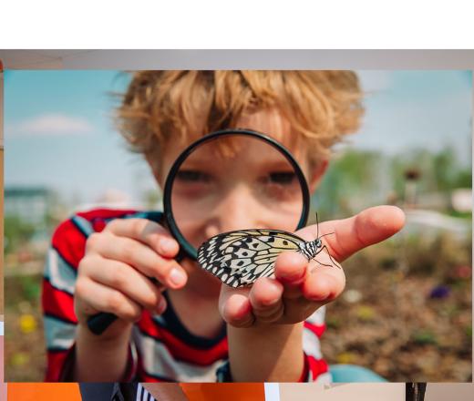 child holding a butterfly under a microscope