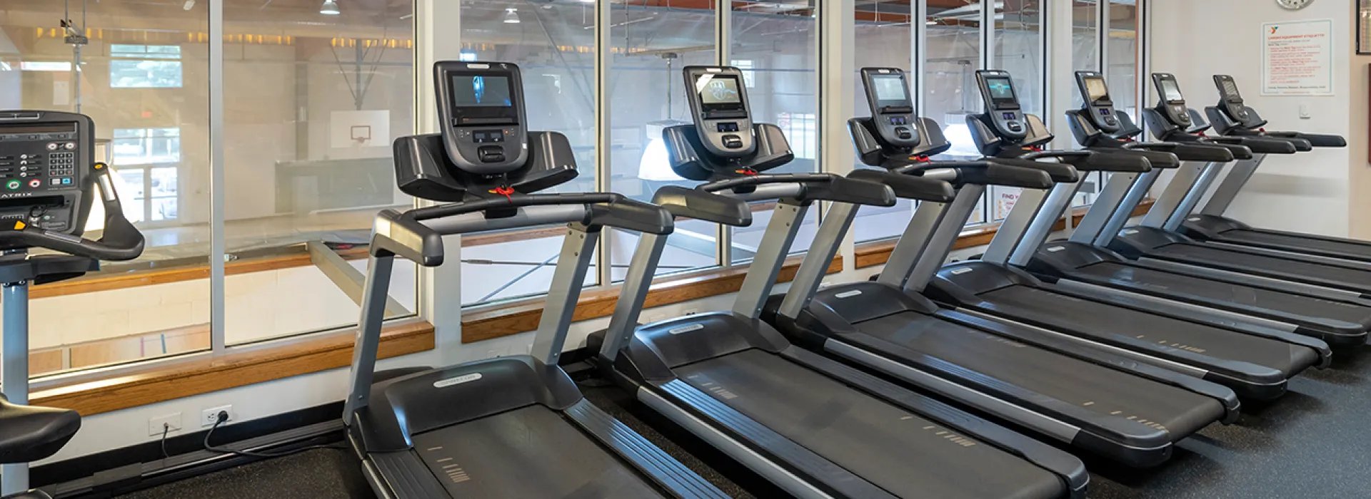 Treadmills lined up
