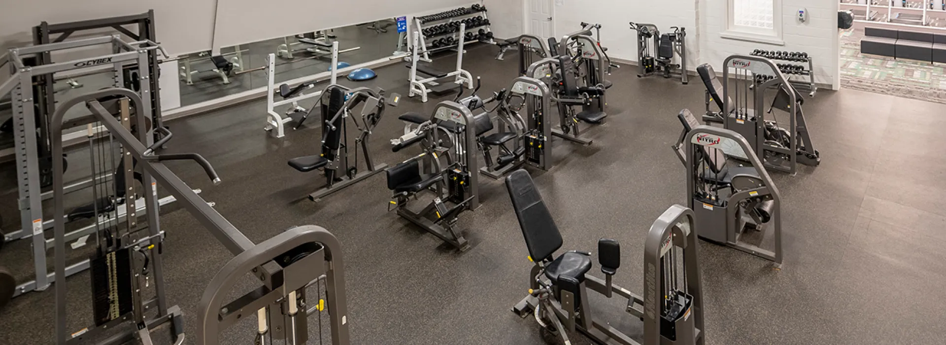 Strength equipment on wellness floor